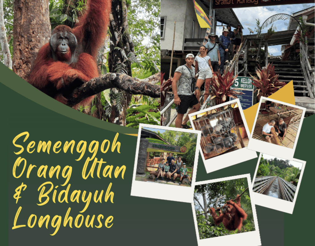 Orang-Utan & Bidayuh-Langhaus in Kuching
