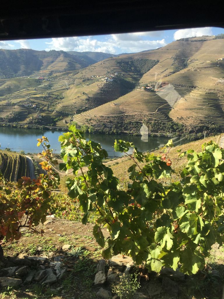 Porto zum Douro Tal Private Tour in einem 4x4 wie ein Einheimischer