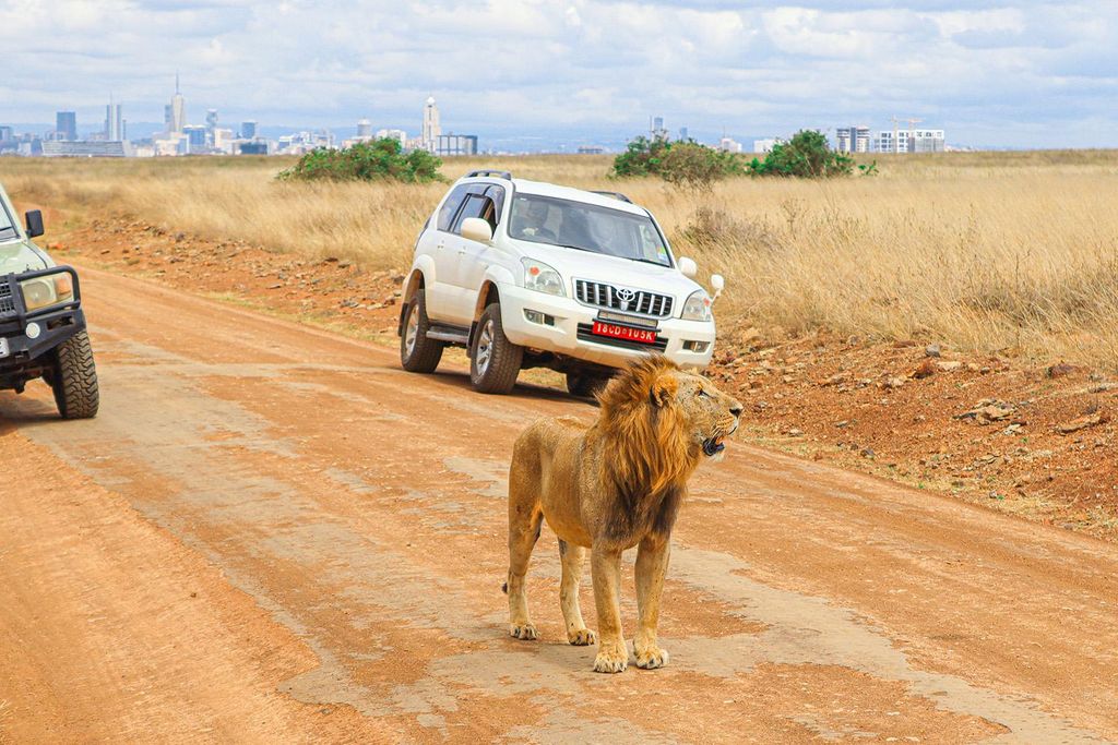Nairobi: National Park Private Tour im 4X4 Jeep