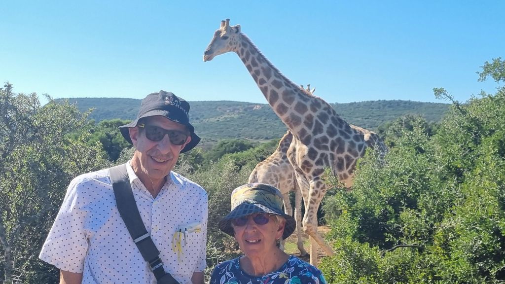 Tagestour: Schotia Wildreservat & Giraffen-Wanderung (offener Geländewagen)