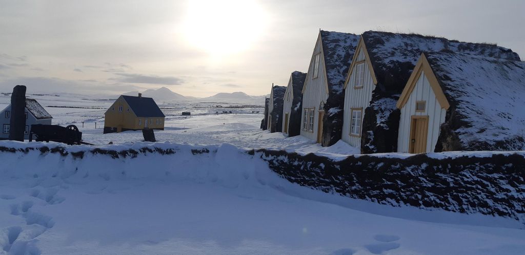Ab Akureyri: Skagafjörður Bauernhofbesuch mit Wikingerschlacht