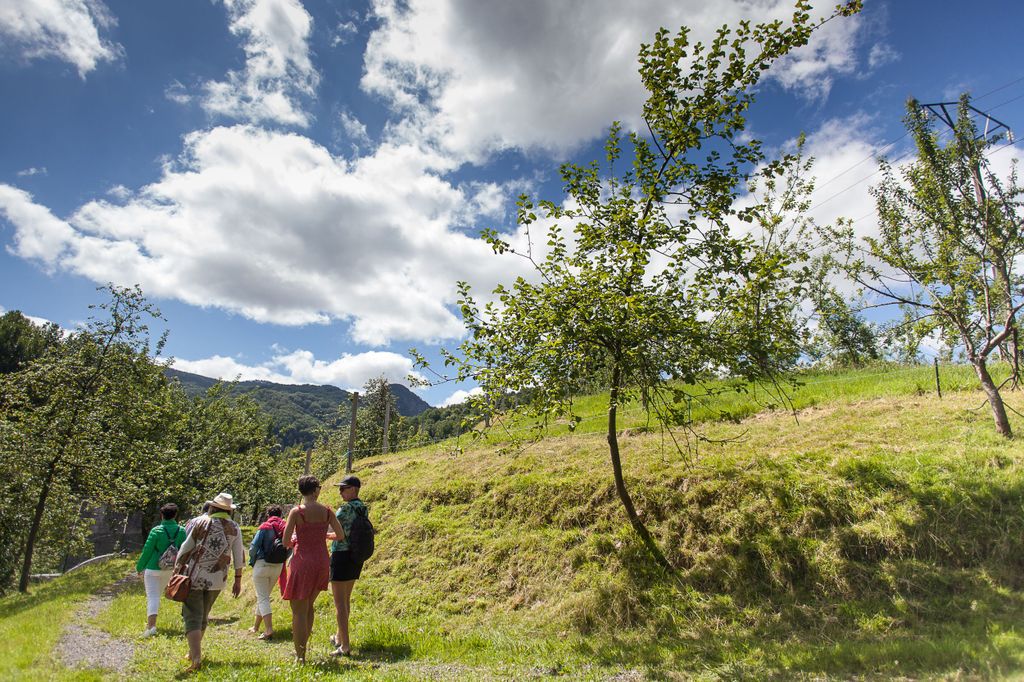 San Sebastián: Traditionelle Apfelweintour mit Mittagessen