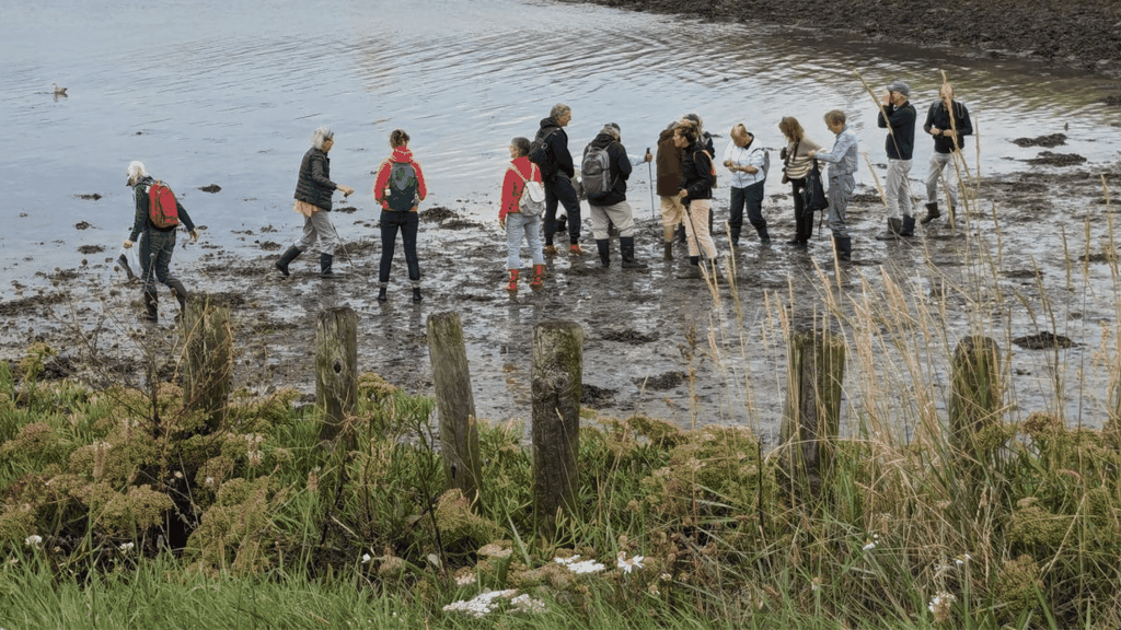 Oosterschelde: Führung auf der Suche nach salzigen Muscheln