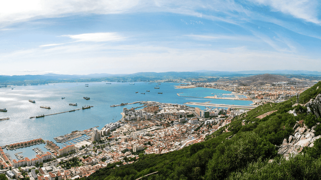 Gibraltar Delphinbeobachtungstour