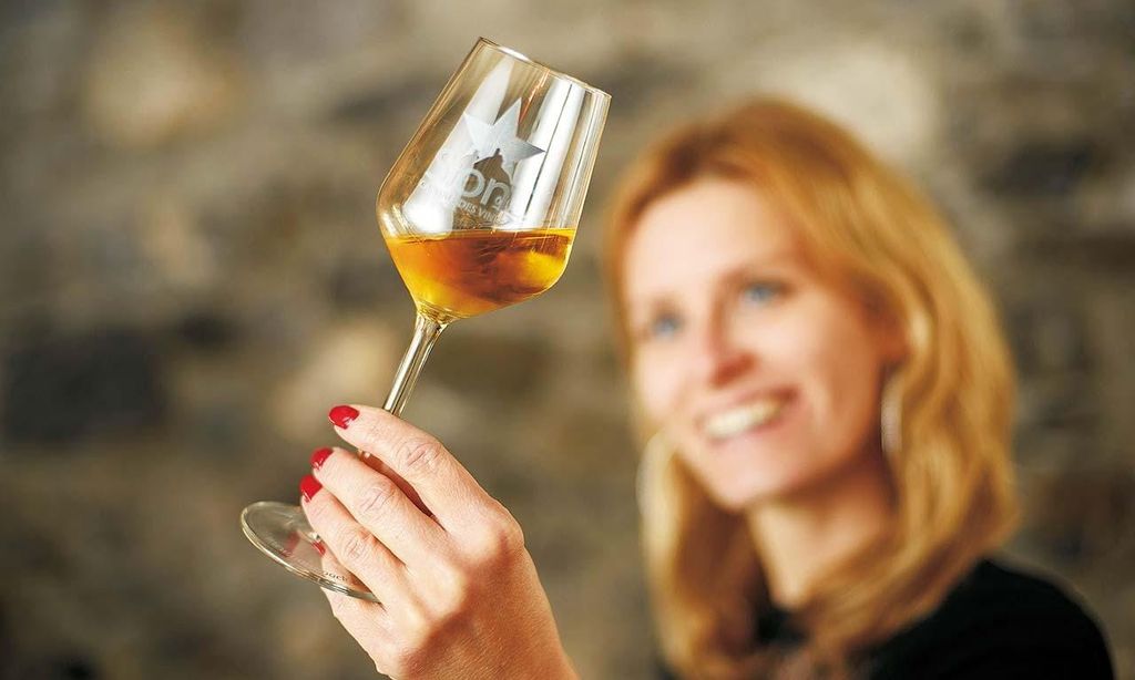 Sion: Sion Wine Tour - Weinverkostung und geführte Tour