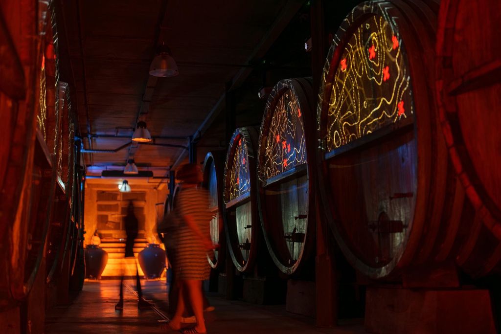 Geführte elsässische Weinprobe und immersive Weinkeller-Tour