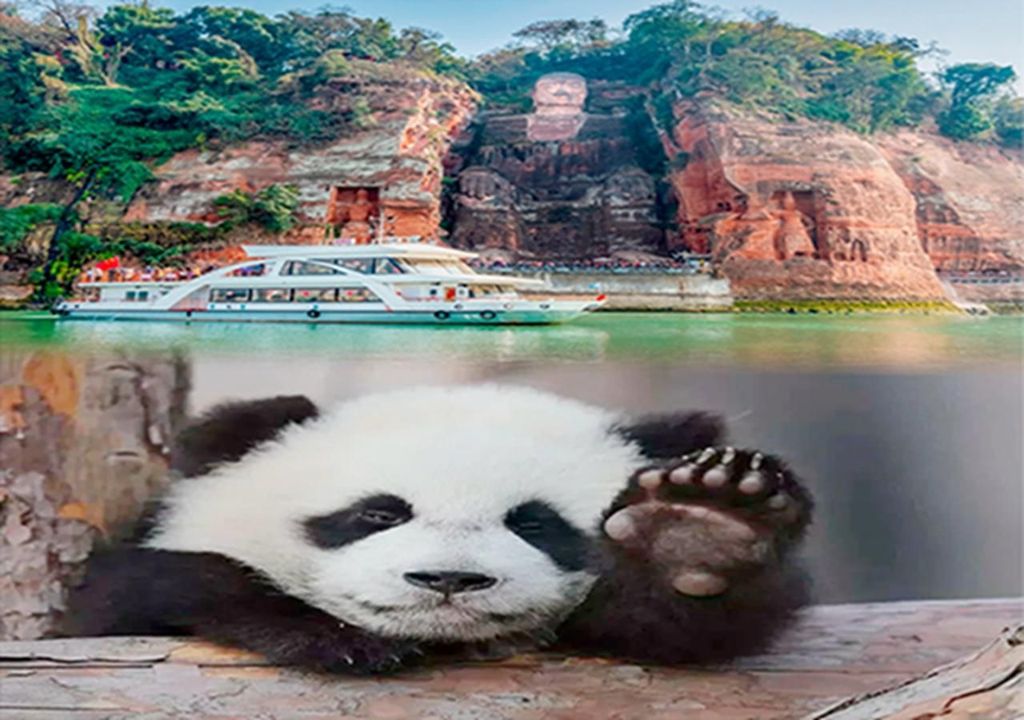 Chengdu Panda & Leshan Buddha One Day Private Tour