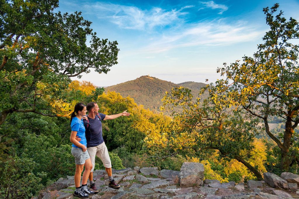 Baden-Baden: Wanderung mit dem Schwarzwald-Guide