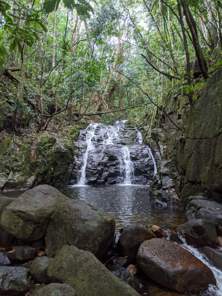 Dschungel-Abenteuer-Wanderung: Klettern, Wasserfall, Seychellen entdecken!