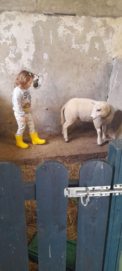 Eintrittskarte für Murtagh's Organic Farm