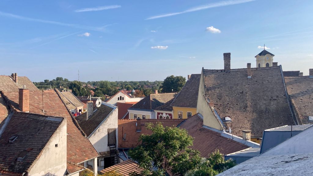 Szentendre: Kunst und Cafés Tour (Halbtagestour private Tour)