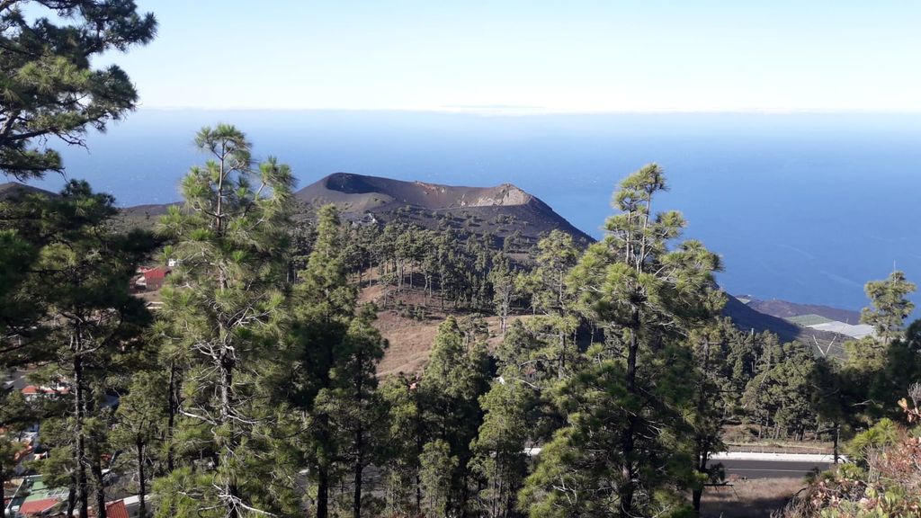 La Palma: San Antonio und Teneguia Vulkane Tour mit dem 4x4 Bus