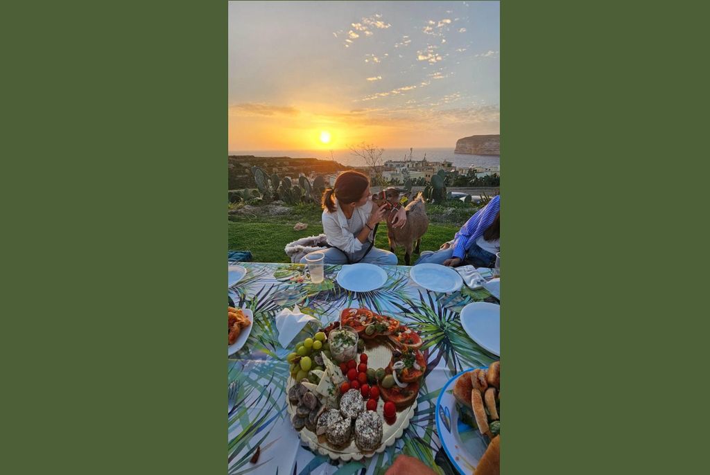 Gozo: Picknick bei Sonnenuntergang in der Xlendi-Bucht mit Zwergziegen