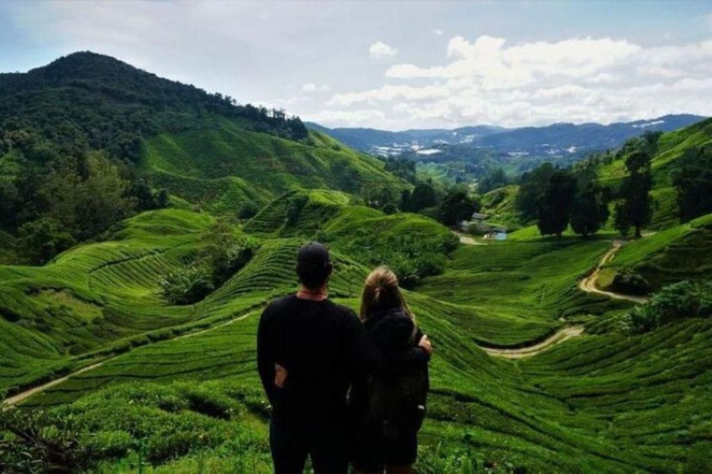 Ipoh: Cameron Highlands: Tagestour zur Teeplantage mit Mittagessen