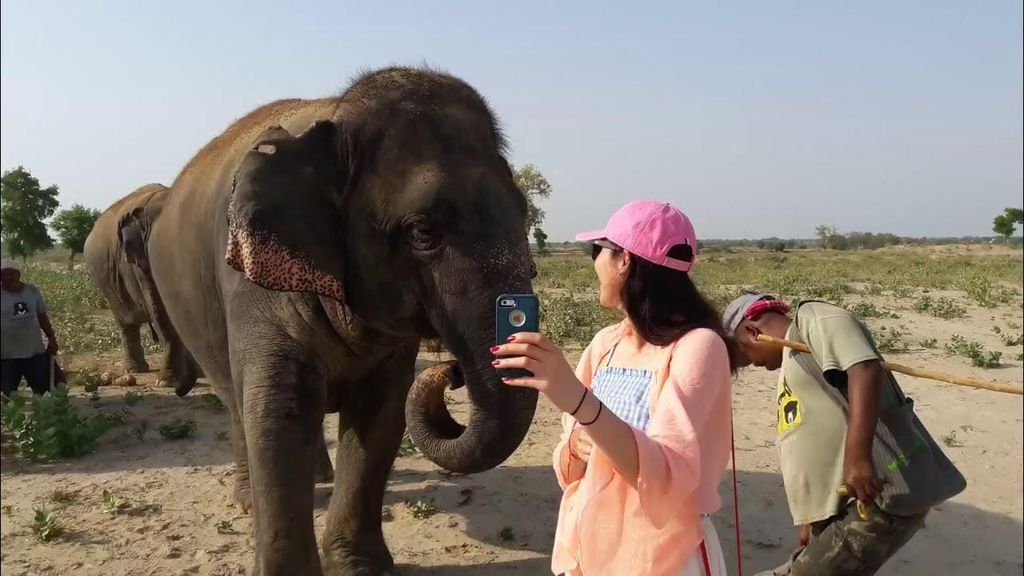 Delhi: Sonnenaufgang am Taj Mahal & Elephant SOS Tour mit Transfers