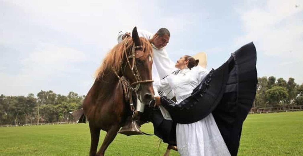 Von Trujillo | Marinera Show mit peruanischen Paso-Pferden