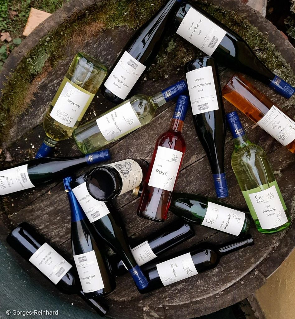 Wintrich: Weinprobe und Weingutsbesichtigung