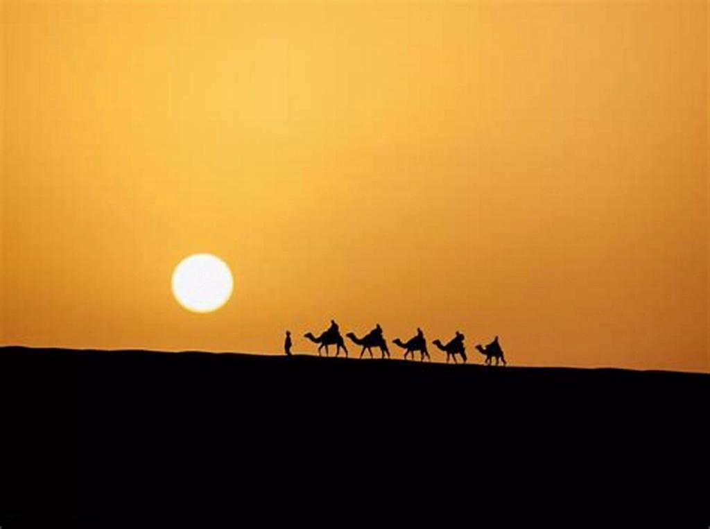 Sternguckerei in der Wüste.