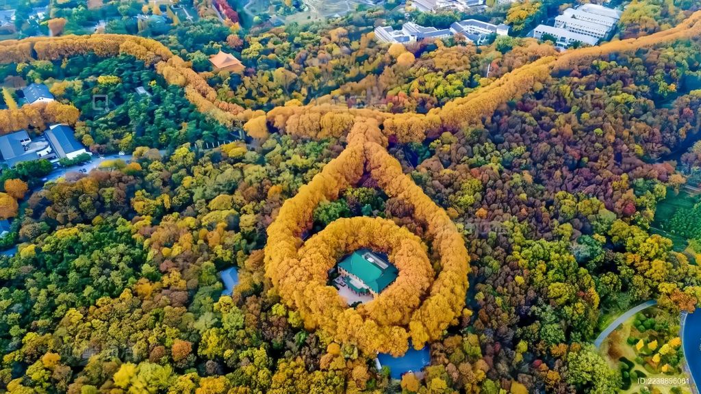Nanjing am Nachmittag: Xiaoling-Mausoleum + Konfuziustempel/Abendessen