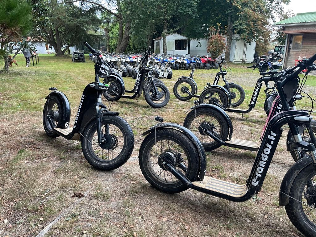 Bassin d'Arcachon: E-Scooter-Tour mit abwechslungsreichen Strecken.