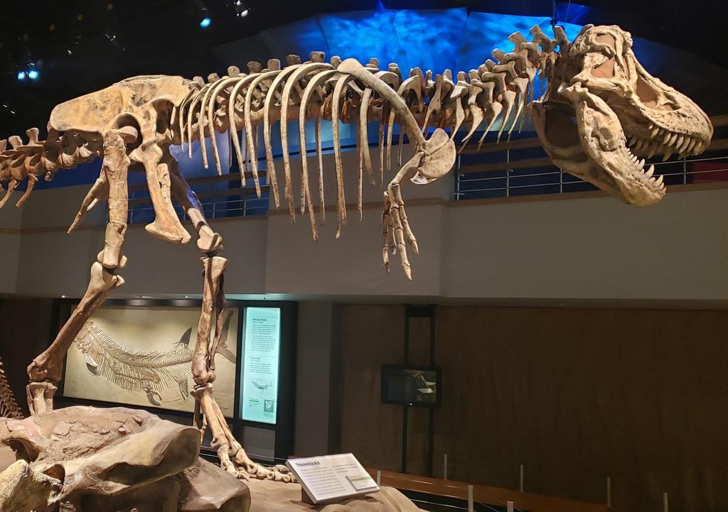 Geführte Drumheller-Tour: Von Calgary zu den Dinosaurier-Badlands-Hoodoos