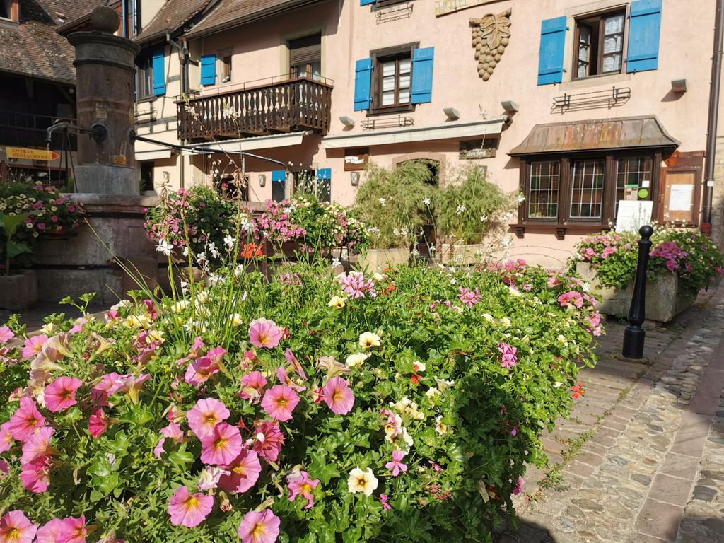 Ganztagestour Safari Dörfer & Weinberge Weinverkostung