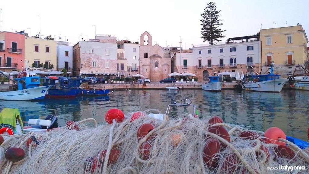 Gallipoli: Exklusive Tagestour nach Trani/Castel del Monte