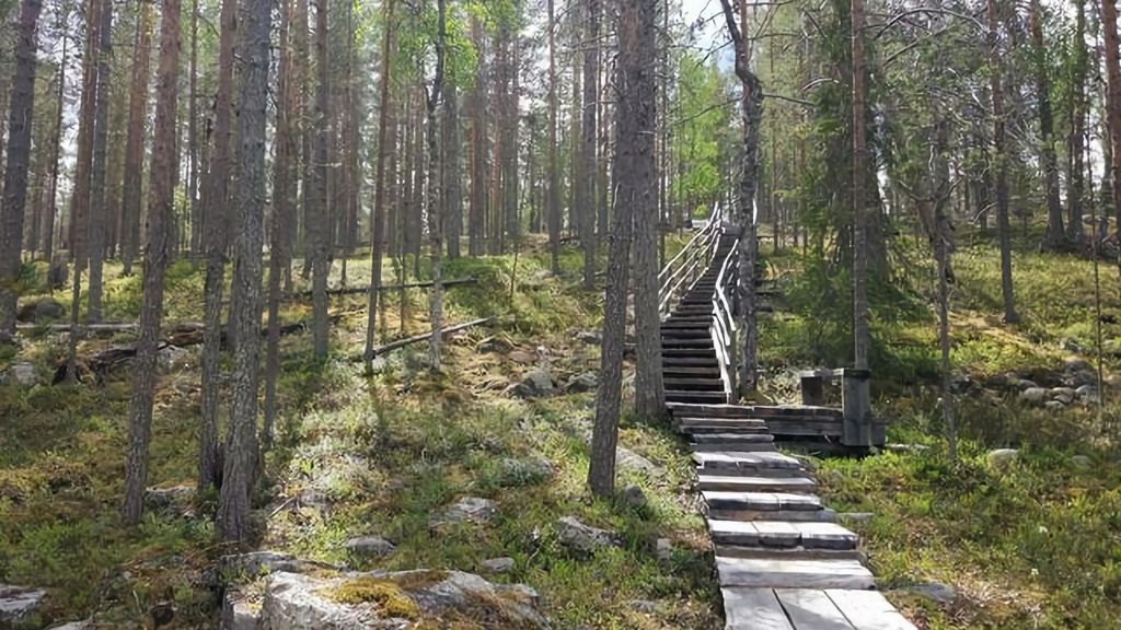Rovaniemi: Wanderung zu den gefrorenen Wasserfällen von Korouoma mit Fotos & Barbecue