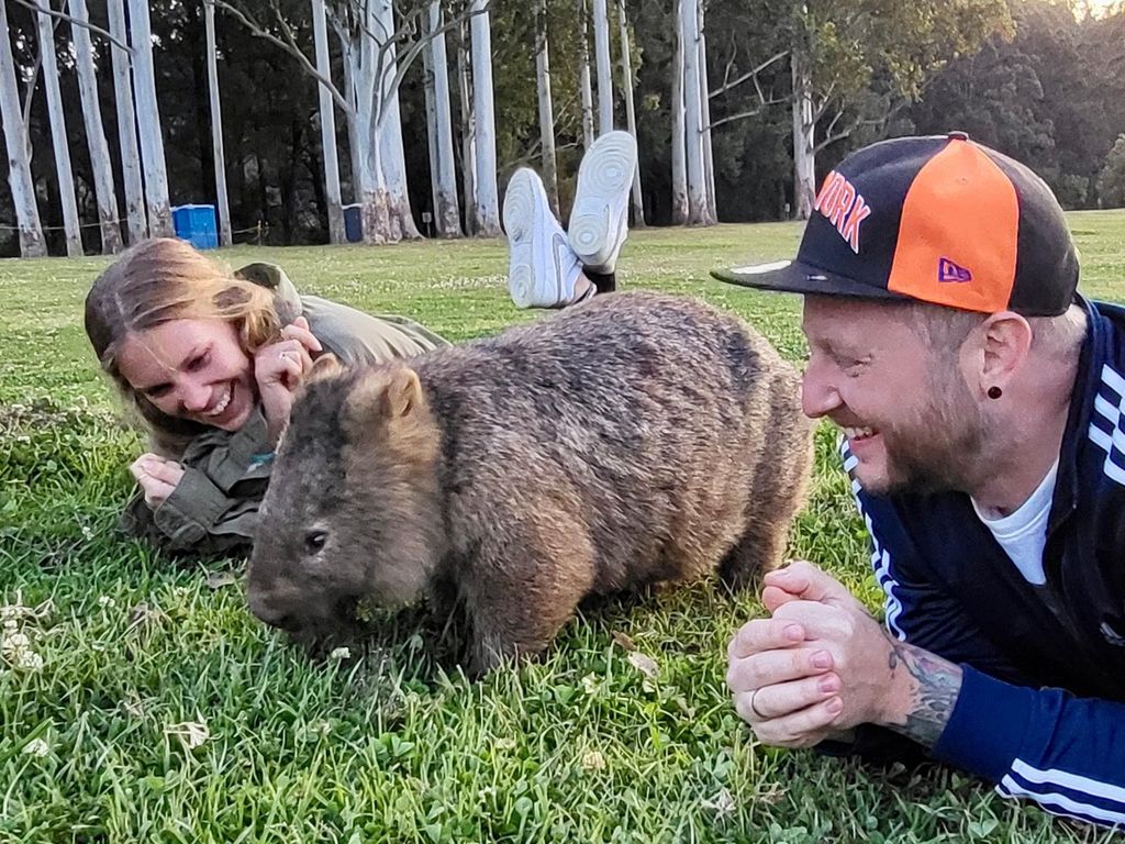 Wilde Wombats und Kängurus erleben, alles inklusive, Sydney