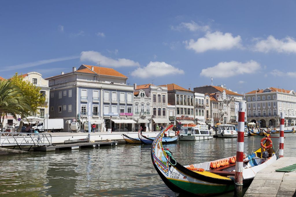 Aveiro: Halbtagestour mit Bootsfahrt