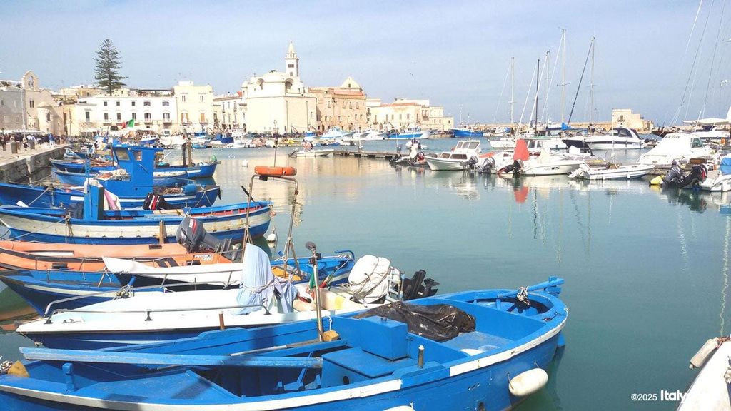 Lecce: Exklusive Tagestour nach Trani und Castel del Monte