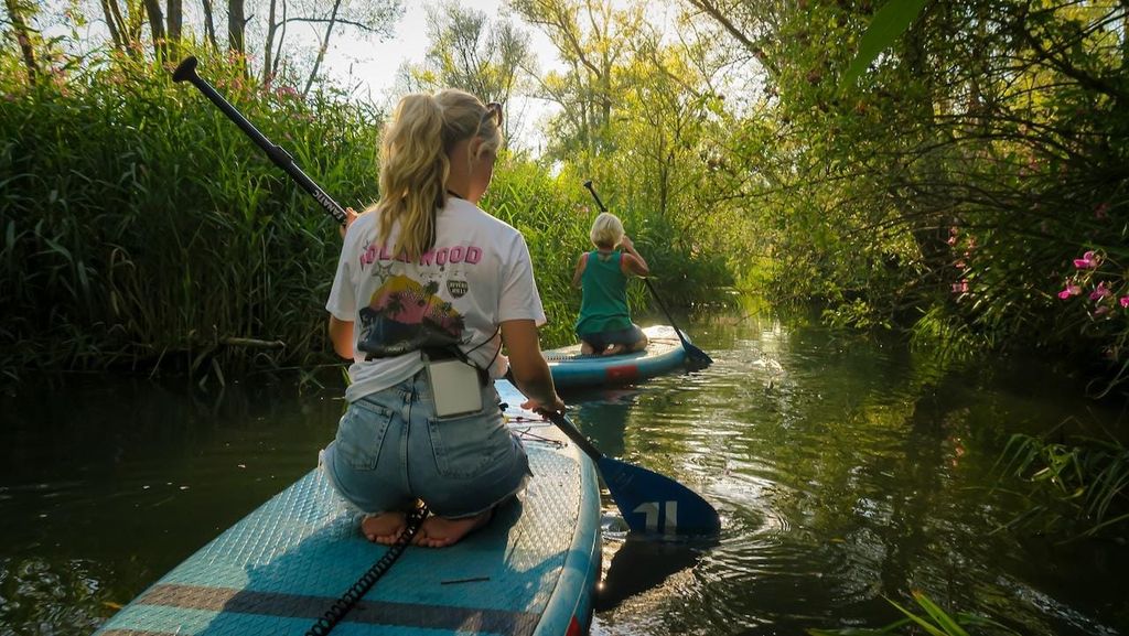Biesbosch: SUP-Board-Verleih