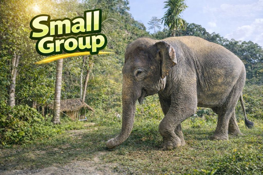 Phuket: Ethisches Elefanten-Erlebnis in Kleingruppen – Patong