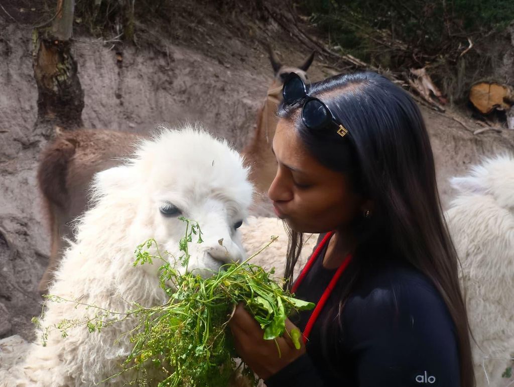 Cusco: Besuch in der Tierauffangstation & Alpakas hautnah erleben