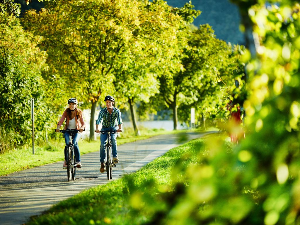 Cochem: Fahrrad- und Bootstour mit Picknick und Weinverkostung