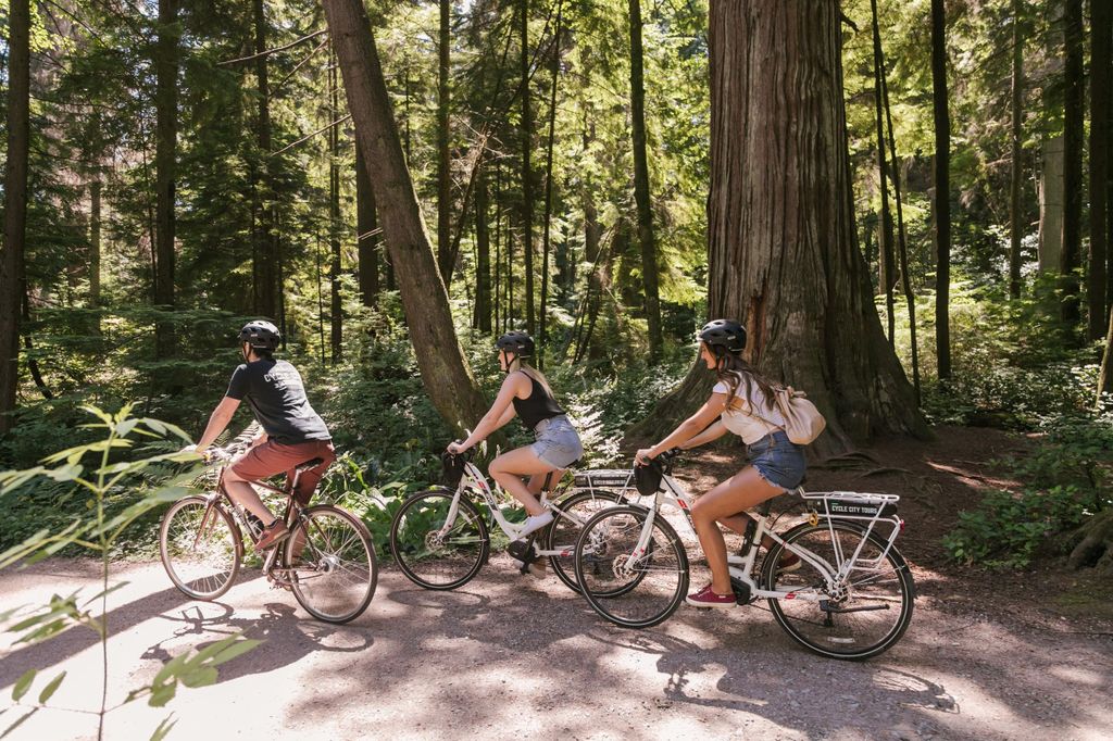 Vancouver: Halbtagestour mit dem E-Bike zu den Highlights der Stadt Alter 16+