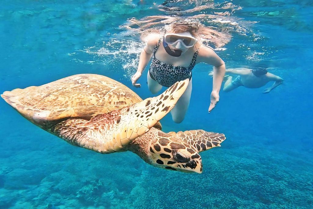 Exklusiv: 5 geheime Gilis: Schnorcheln & Inselhopping