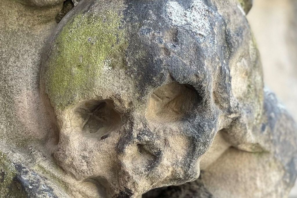 Braunschweig: Von Vampiren und Spukgestalten