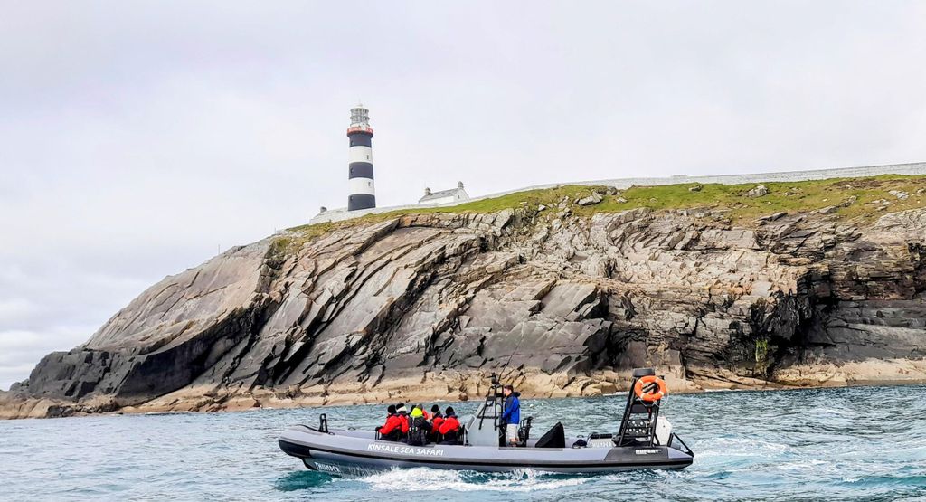 Kinsale Sea Safari: Old Head of Kinsale Rib Tour