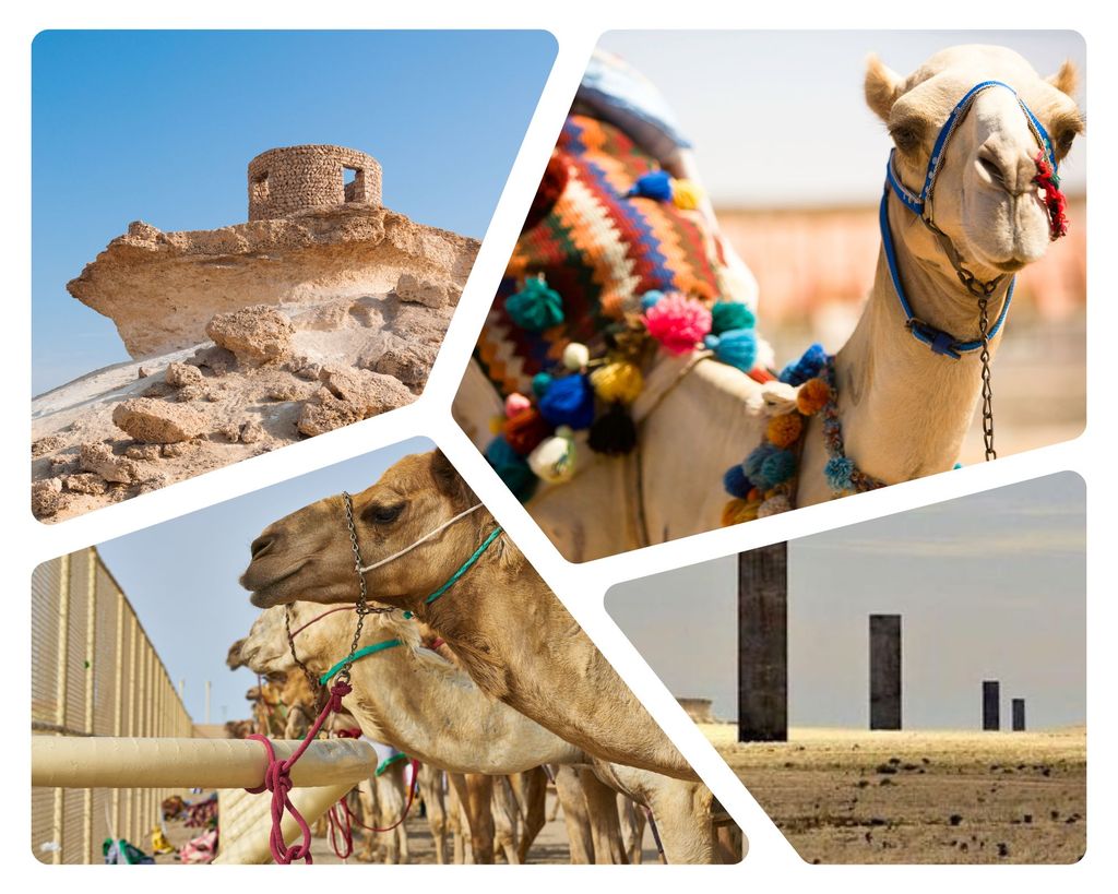 Doha Kamelrennbahn & Richard Serra Wüstenskulpturen Tour