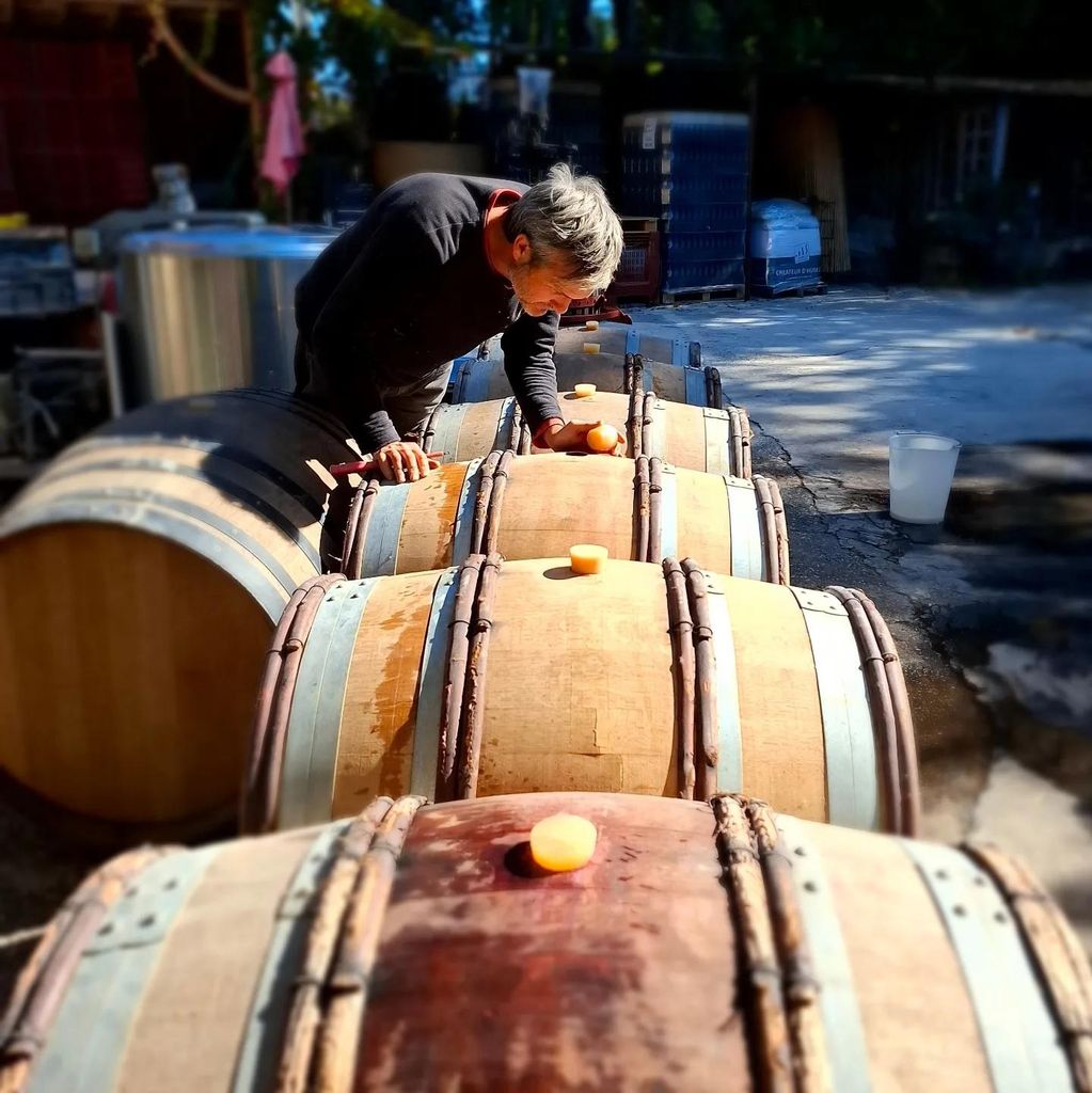 Alpilles: Entdecke mit dem E-Bike Weingüter und Bauernhöfe