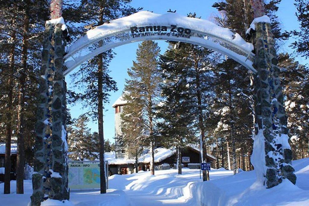 Abenteuer im Ranua Zoo mit Transfers und Tickets