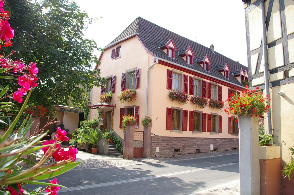 Wettolsheim: Verkoste Bio-Weine und besuche den Weinkeller