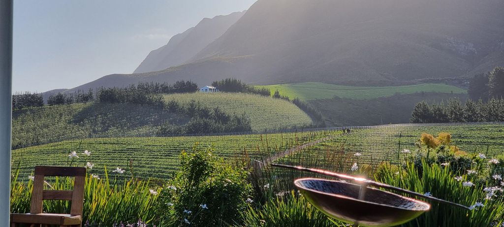 Luxuriöse Wein Tour