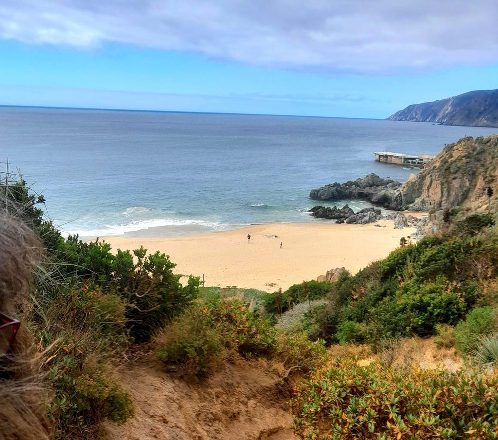 Valparaíso: Tagestour zum Strand und Wald von Laguna Verde