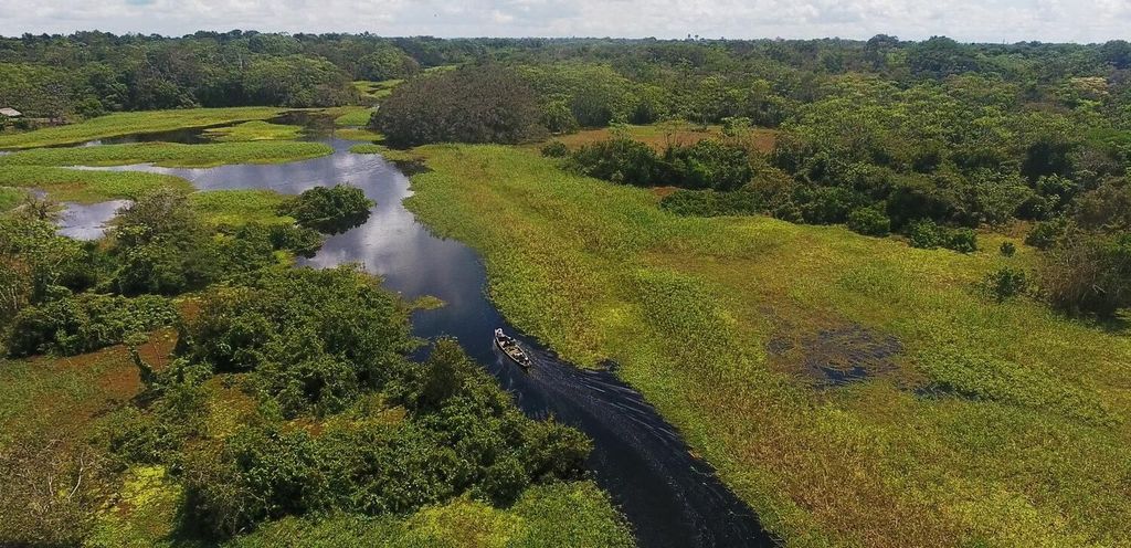 Iquitos: Amazonas Fluss und Stämme Tagestour