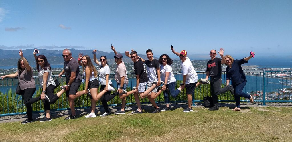 Wellington: Halbtagestour zu den Highlights der Stadt und Seilbahnfahrt