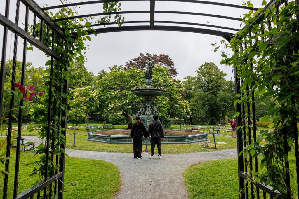 Halifax: Kleingruppenwanderung mit Zitadelle und Museum