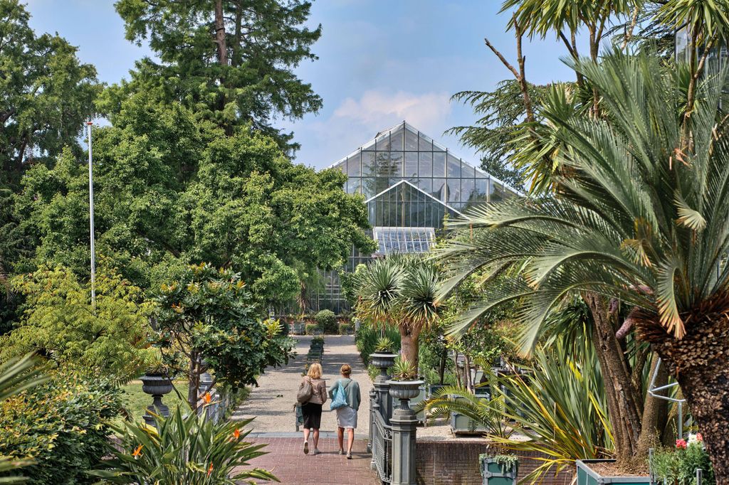 Leiden: Eintrittskarte für den Hortus Botanicus Leiden