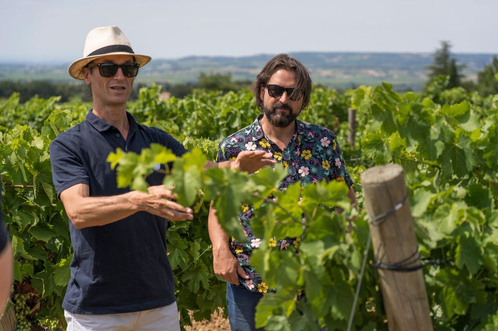 Ab Avignon: Châteauneuf du Pape Halbtagestour Wein